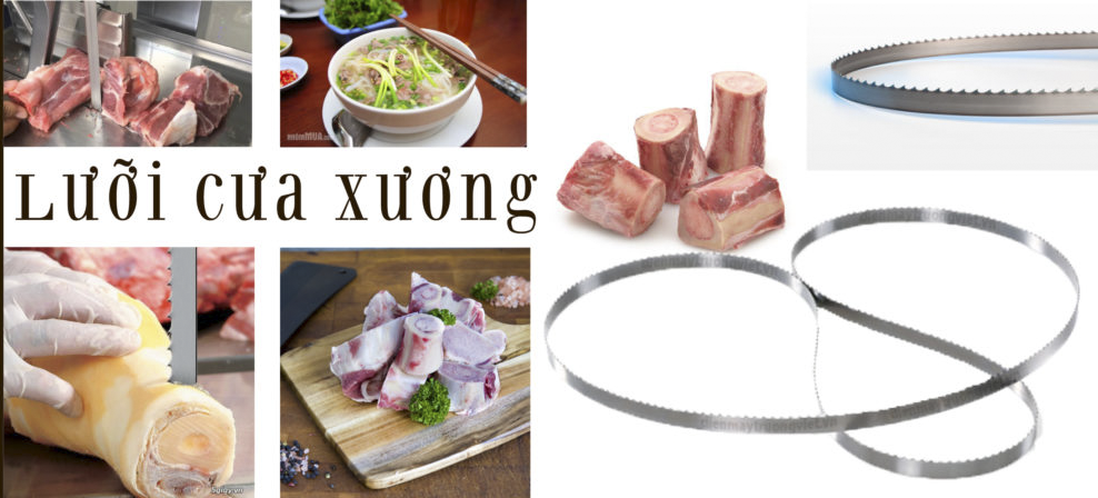 Lưỡi cưa xương Viễn Đông